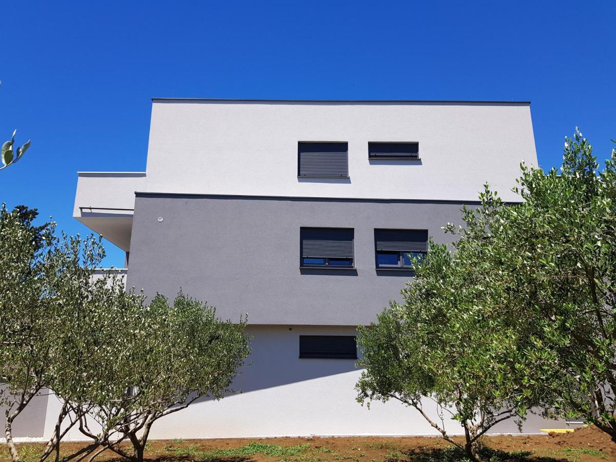 Vila Maslina - Apartman 3 Zadar Bagian luar foto