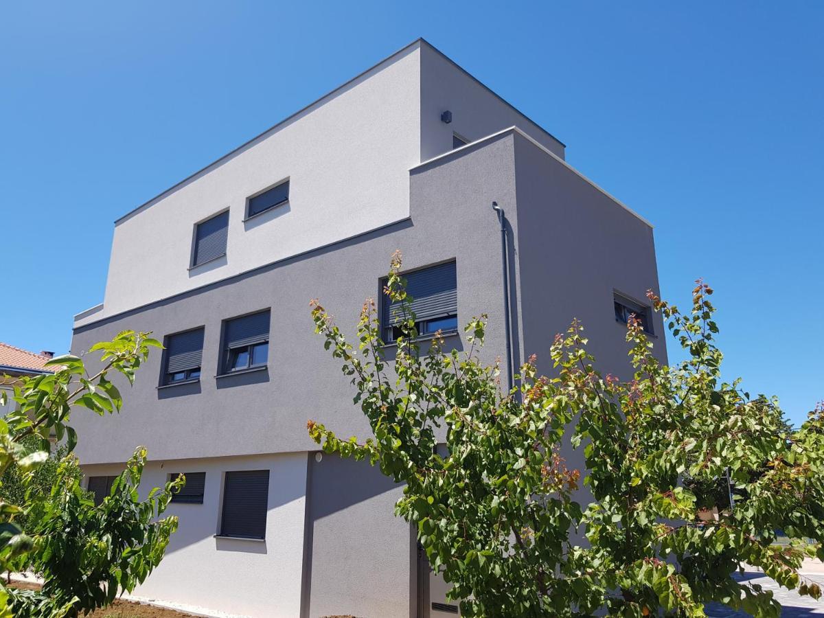 Vila Maslina - Apartman 3 Zadar Bagian luar foto